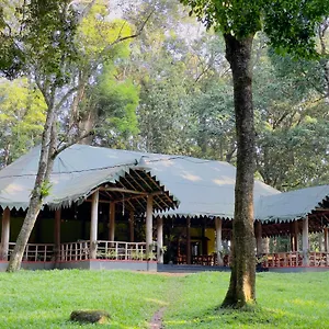 900 Woods Wayanad Eco - A Sprawling Jungle Near Glass Bridge , Meppadi India